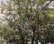 Новая дорога заработала в солнцево