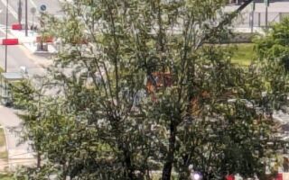 Новая дорога заработала в солнцево