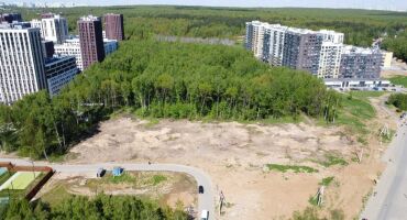 Жители ЖК «Скандинавия» обратились в РПЦ и к Собянину: вместо леса за окном новоселам теперь обещают лес новостроек, 1 июня 2022 —