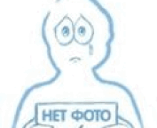 Строительство и недвижимость экономика и бизнес