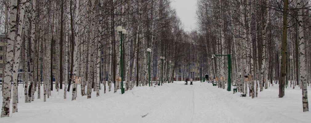Официальный сайторганов местного самоуправлениягорода нижневартовска