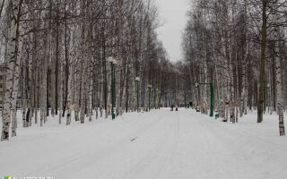 Официальный сайторганов местного самоуправлениягорода нижневартовска